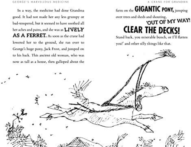 George's Marvellous Medicine

- Roald Dahl 