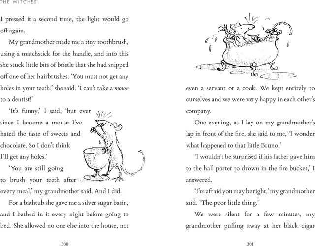 The Witches - Roald Dahl 