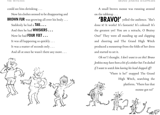 The Witches - Roald Dahl 